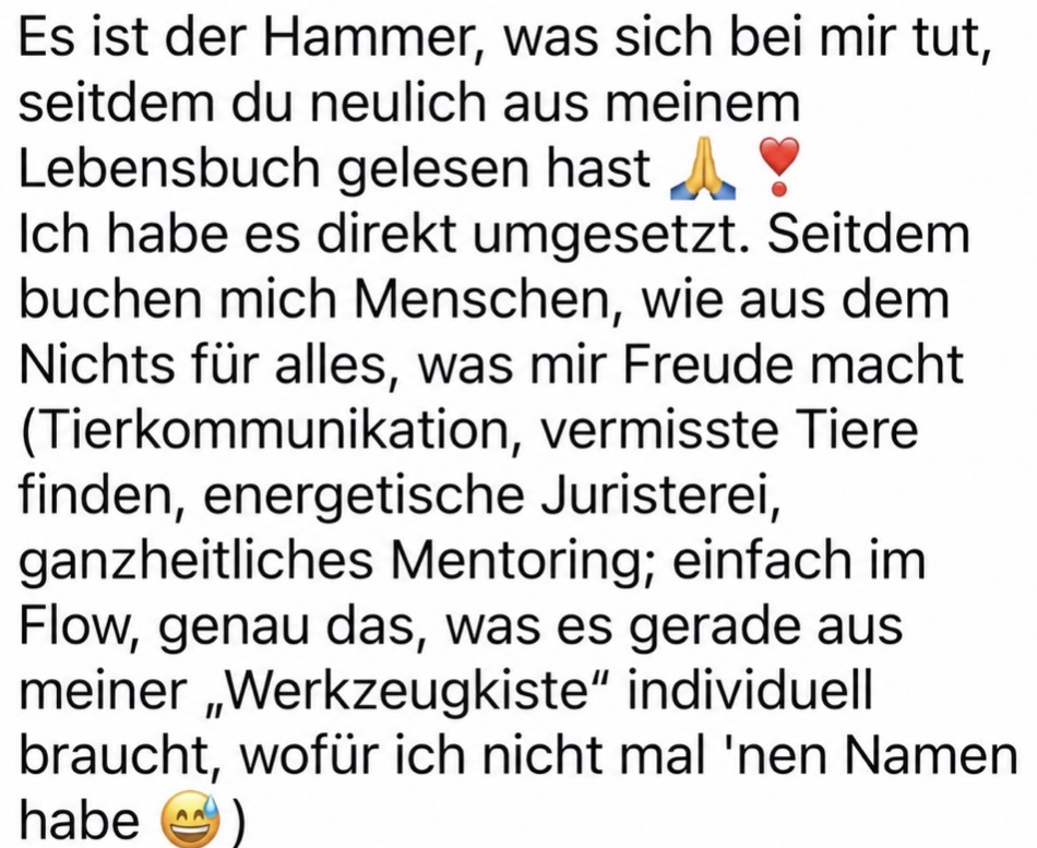 Workshop-Feedback: Buchungen wie aus dem Nichts nach dem Lebensbuch-Reading